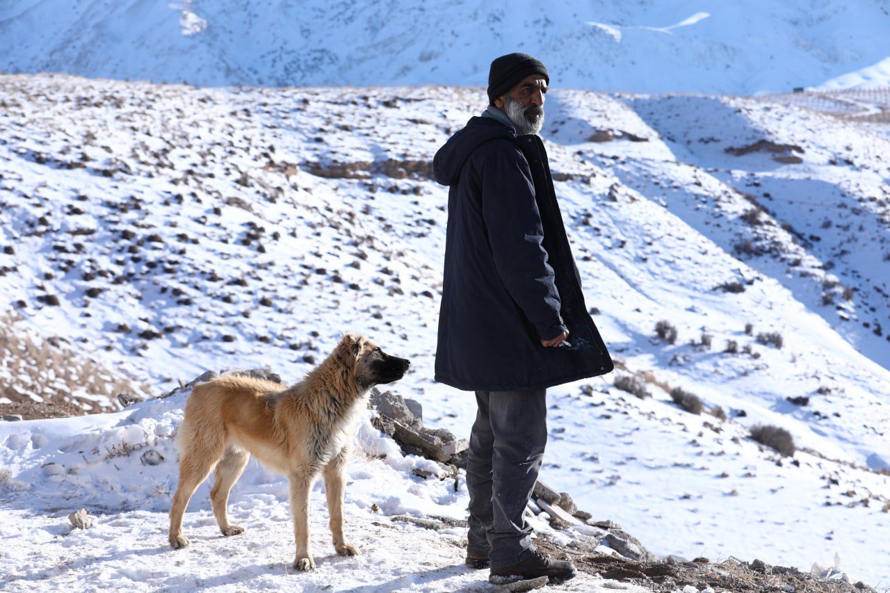 فیلم سینمایی «آه سرد»