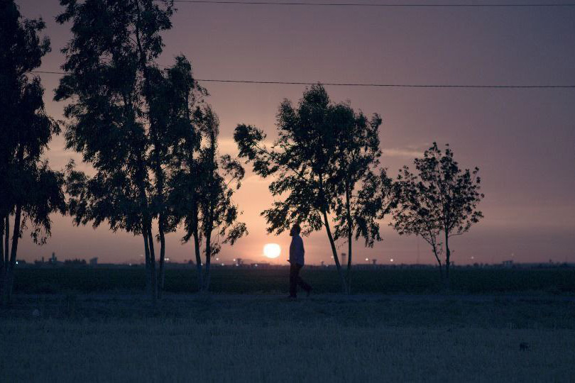 فیلم کوتاه «گوزن سیاه سخن نمی‌گوید»